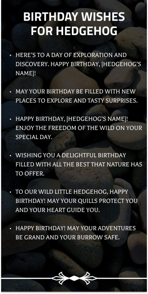 Birthday Wishes for Hedgehog